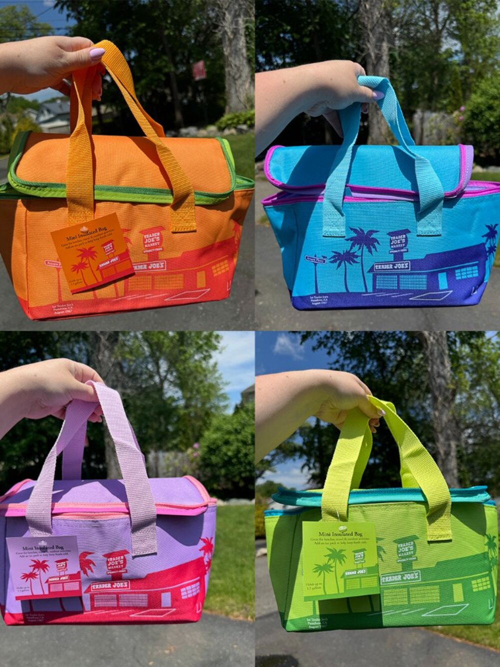 NWT! Trader Joe’s Mini Insulated Cooler Bags Set of 4 (1 of each pictured)